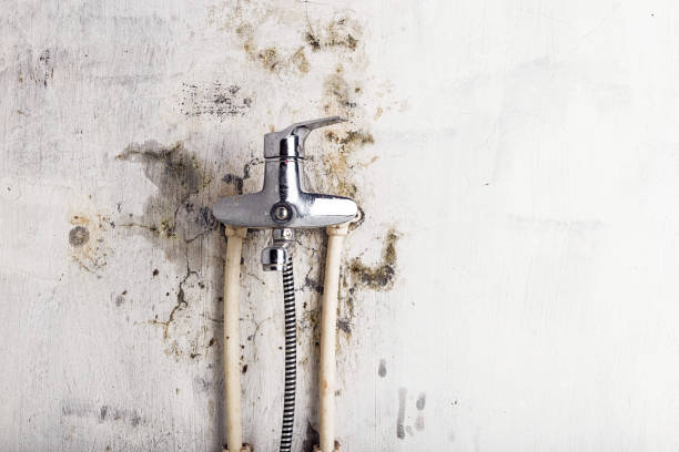 Best Mold Remediation for Schools in Forsyth, GA