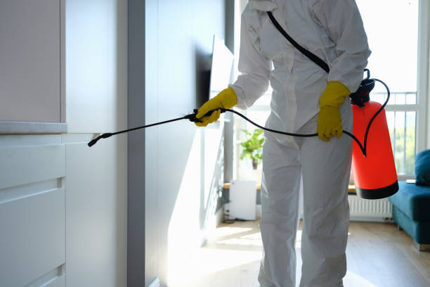 Best Industrial Mold Remediation in Forsyth, GA