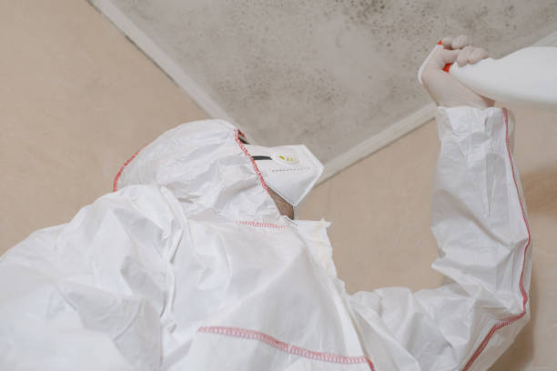 Professional Mold Remediation in Forsyth, GA