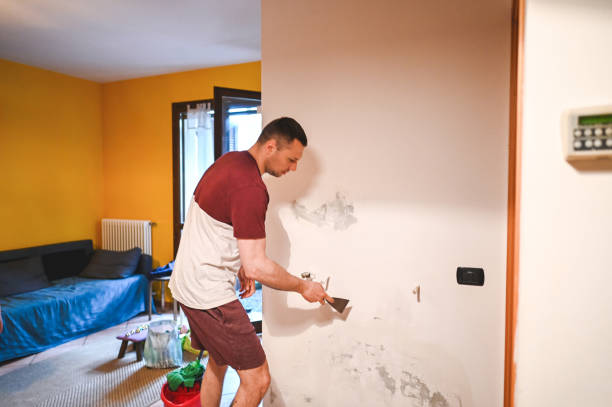 Best Commercial Mold Remediation in Forsyth, GA