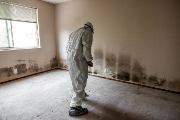 Best Mold Testing and Inspection Services in Forsyth, GA